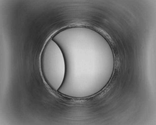 X0000116891039200912221000