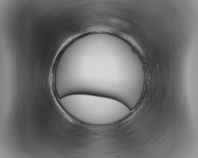 X0000116891040200912221000