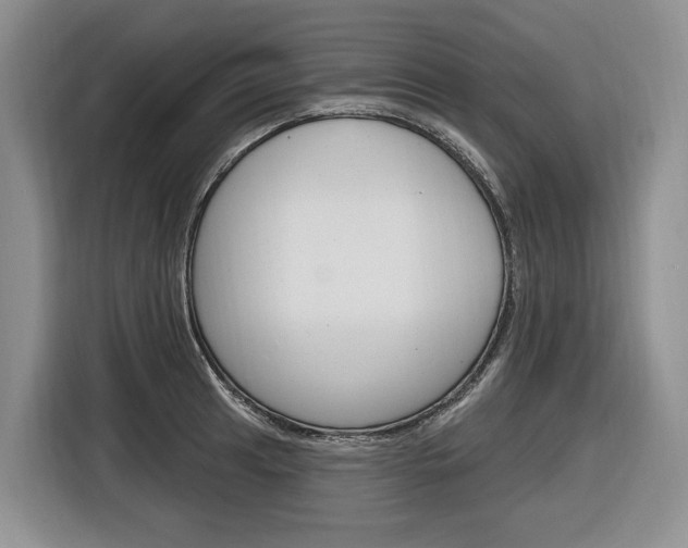 X0000116891041200912221000