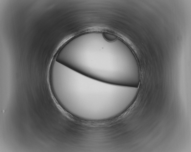 X0000116891042200912221000