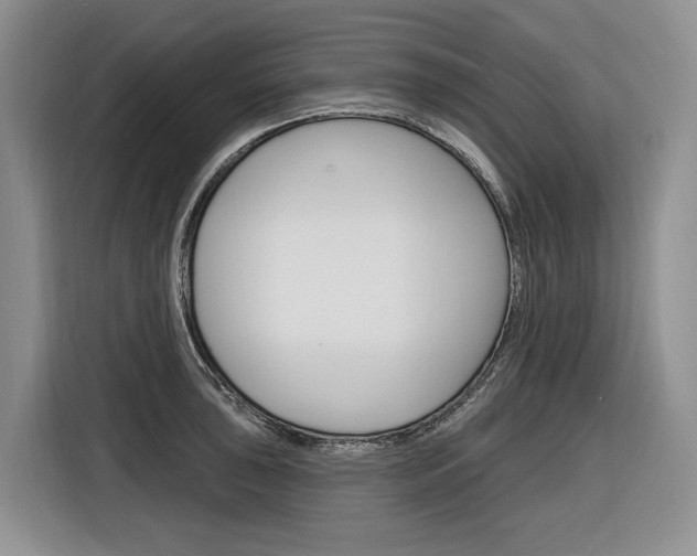 X0000116891043200912221000
