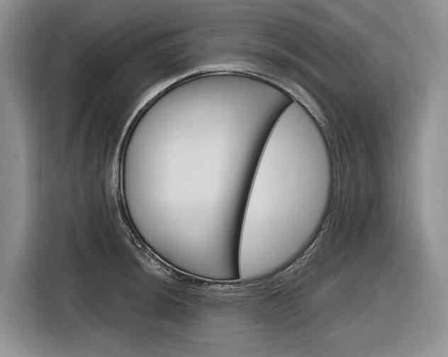 X0000116891044200912221000