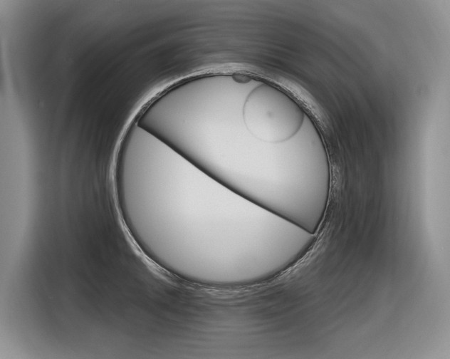 X0000116891046200912221000