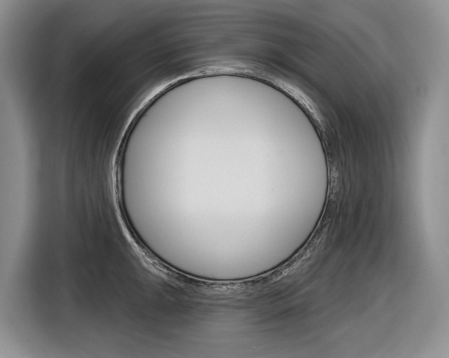 X0000116891047200912221000