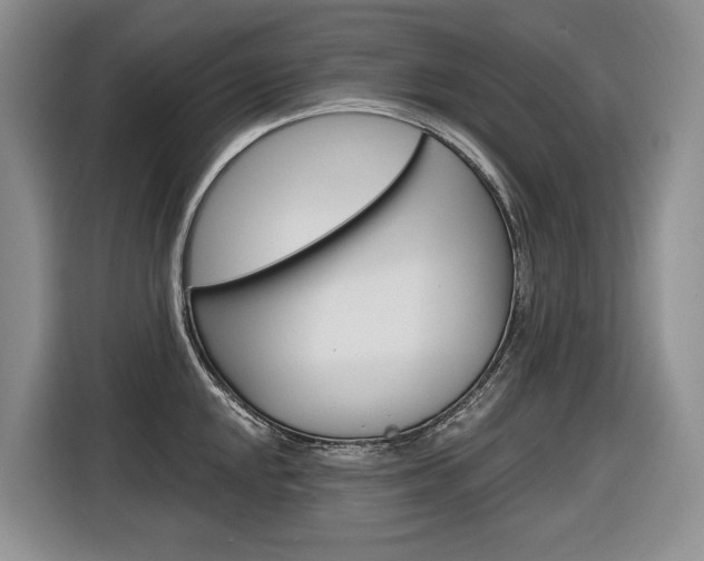 X0000116891048200912221000