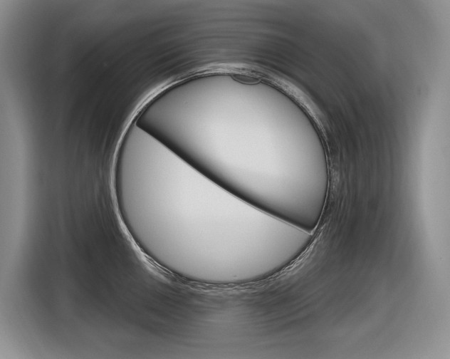 X0000116891050200912221000