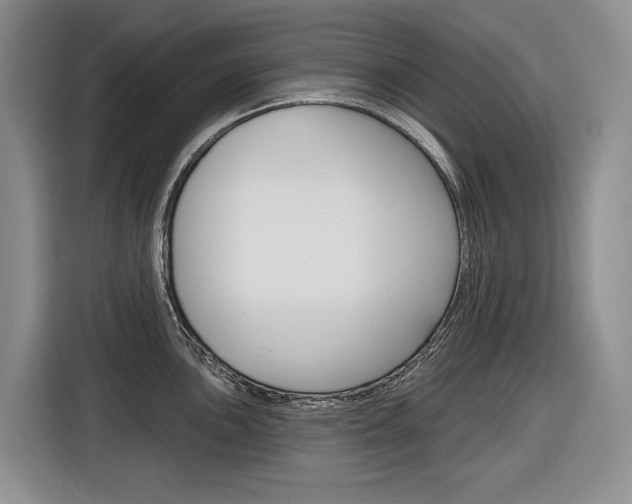 X0000116891051200912221000