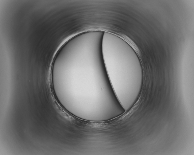 X0000116891052200912221000