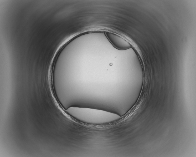 X0000116891053200912221000