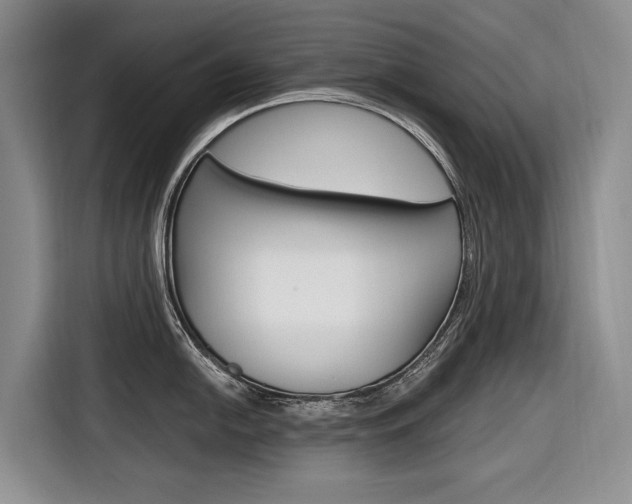X0000116891054200912221000