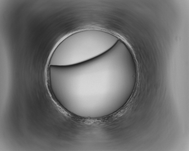 X0000116891056200912221000