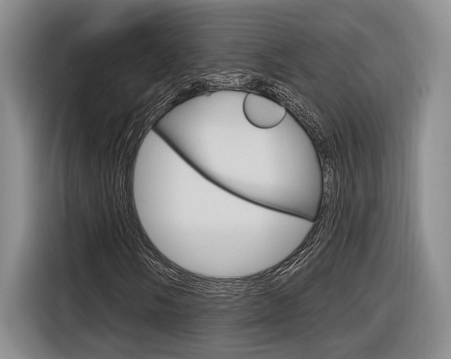 X0000116891058200912221000