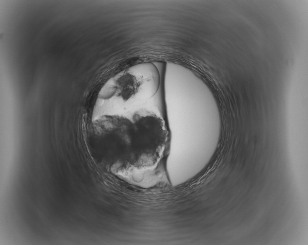X0000116891059200912221000