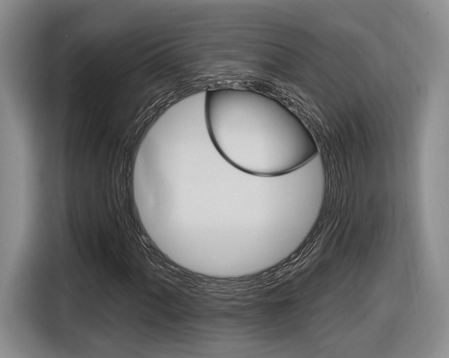 X0000116891060200912221000