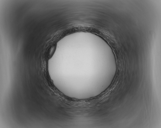 X0000116891061200912221000