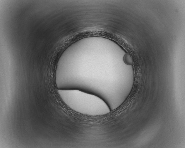 X0000116891062200912221000