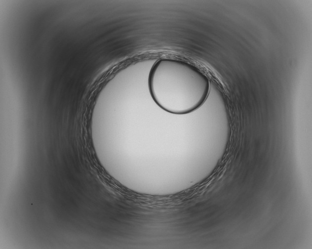 X0000116891064200912221000