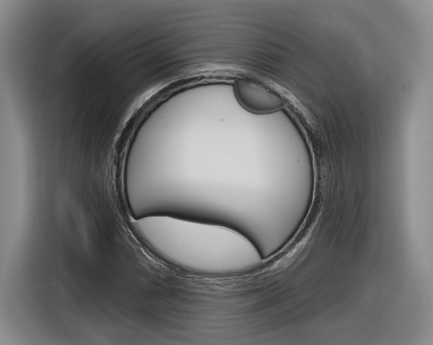 X0000116891066200912221000