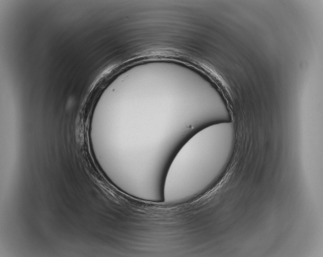X0000116891067200912221000
