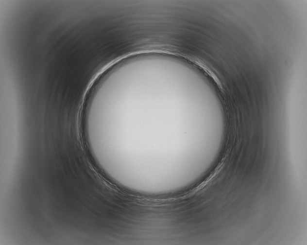 X0000116891069200912221000