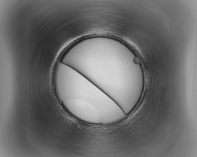 X0000116891070200912221000