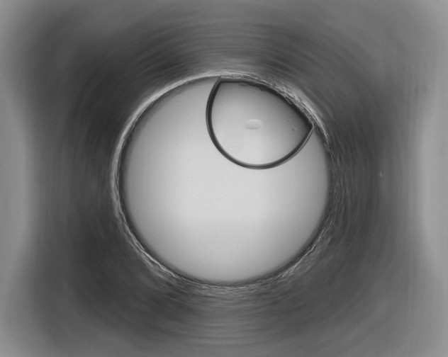 X0000116891072200912221000