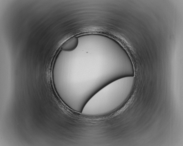 X0000116891073200912221000