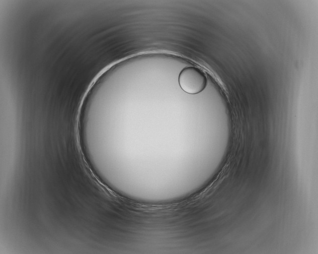 X0000116891076200912220959