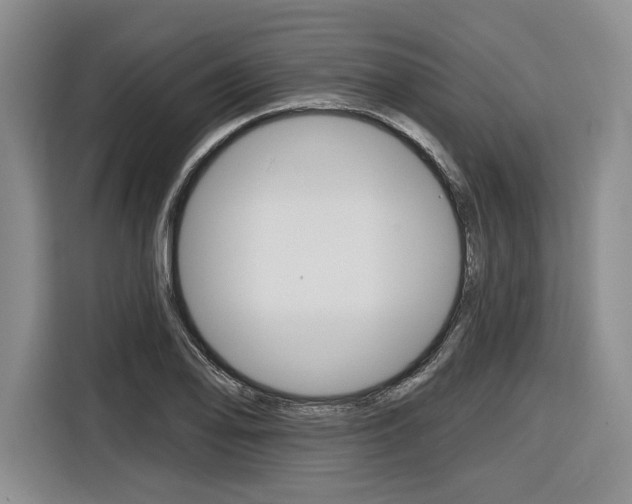 X0000116891078200912220959