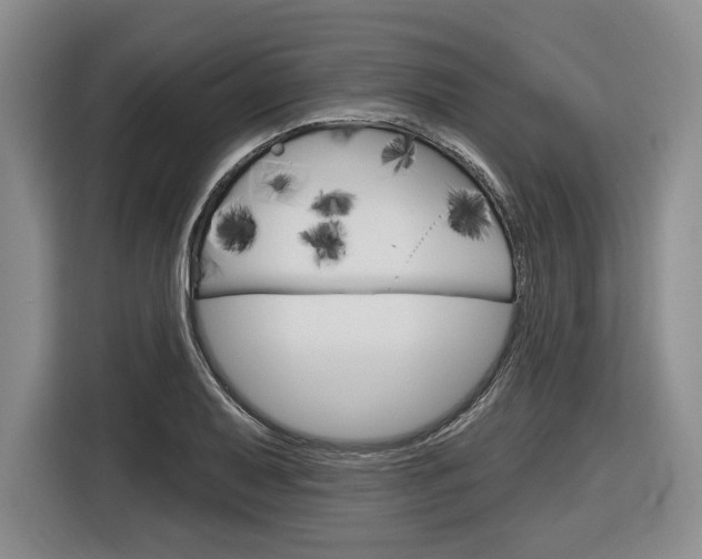 X0000116891079200912220959