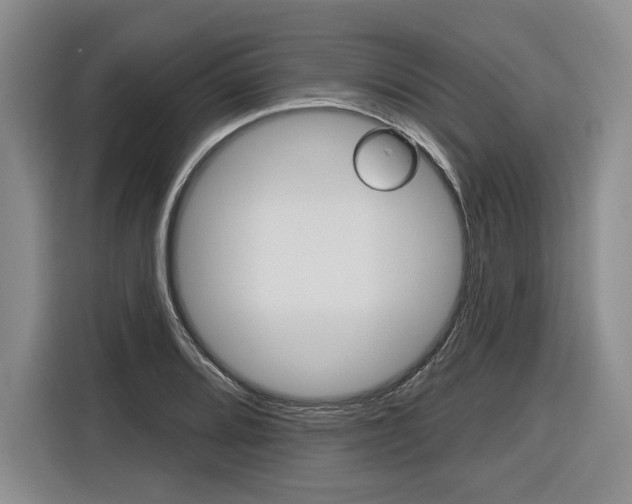 X0000116891080200912220959