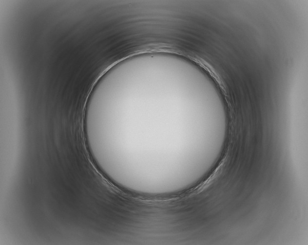 X0000116891081200912220959