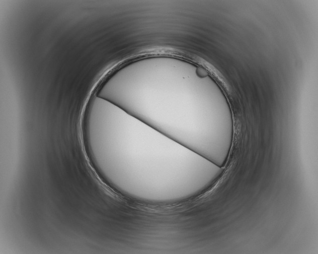 X0000116891082200912220959