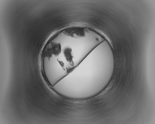 X0000116891083200912220959