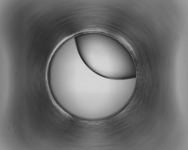 X0000116891084200912220959