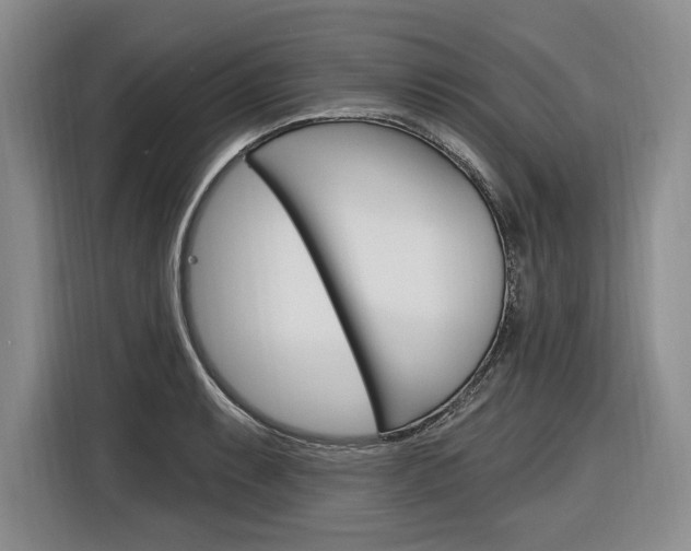 X0000116891087200912220959