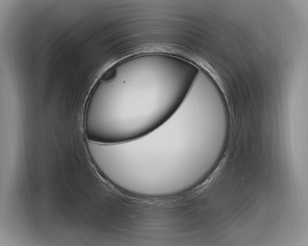 X0000116891089200912220959