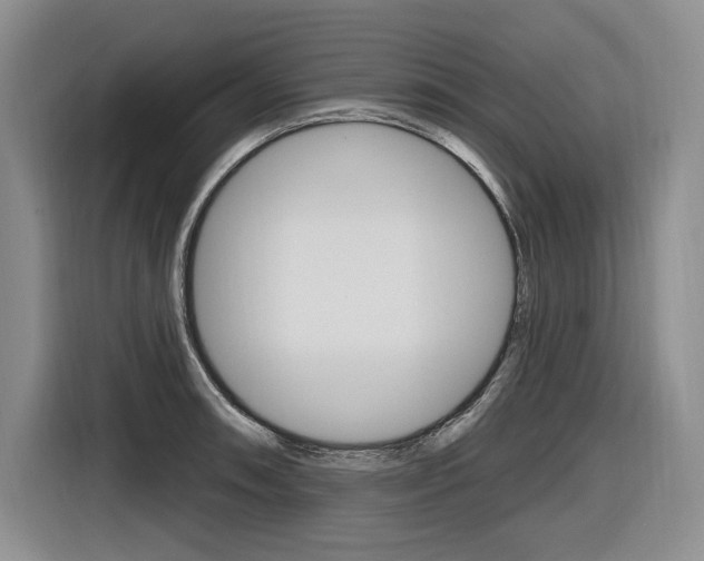 X0000116891090200912220959