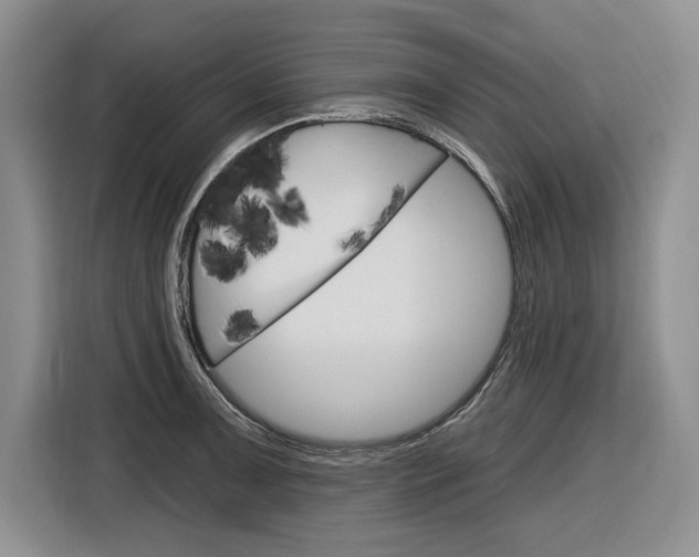 X0000116891091200912220959