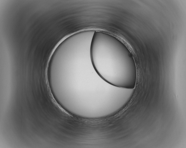X0000116891092200912220959