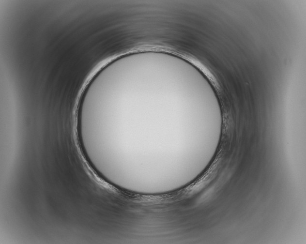 X0000116891094200912220959