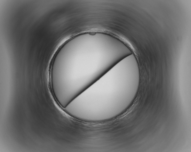 X0000116891095200912220959