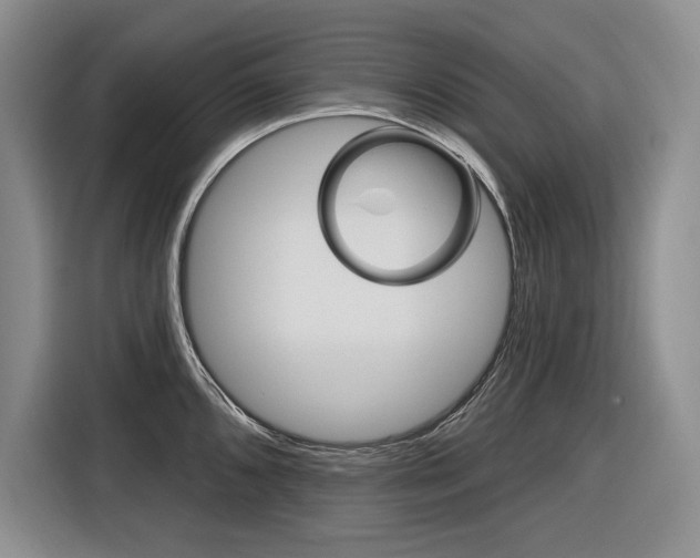 X0000116891096200912220959
