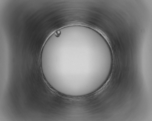 X0000116891097200912220959