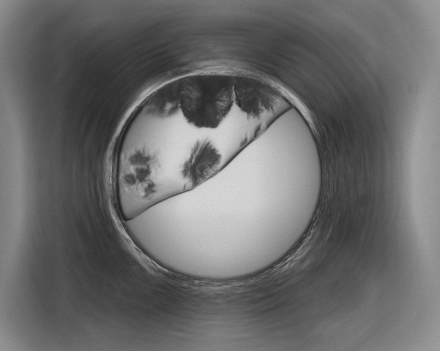 X0000116891099200912220959