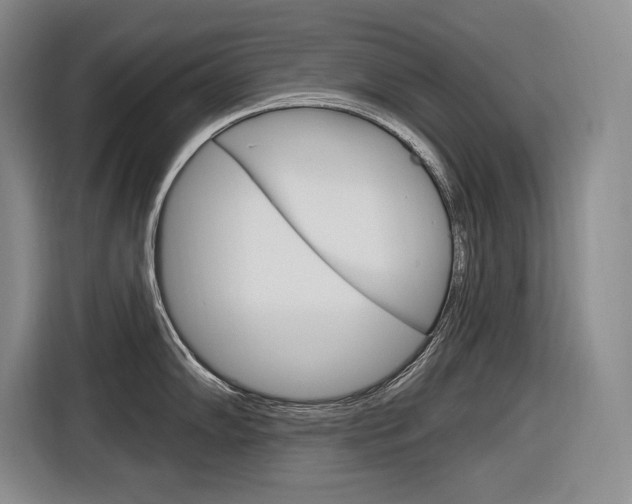 X0000116891102200912220959