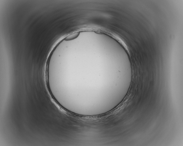 X0000116891103200912220959