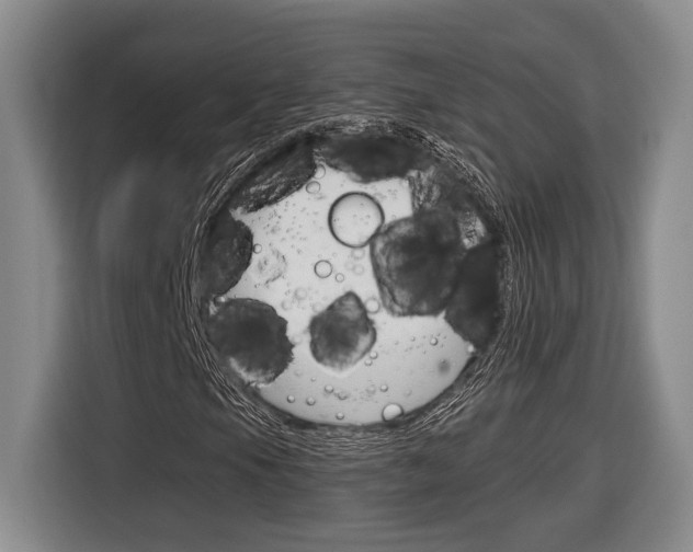 X0000116891105200912220958