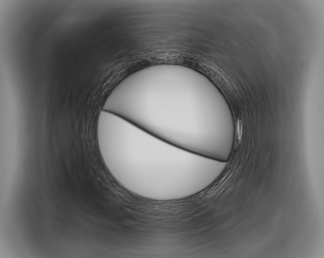 X0000116891107200912220959
