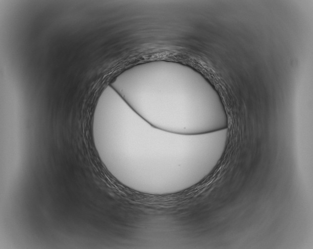 X0000116891109200912220959